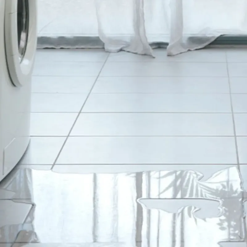 Appliance Leak Cleanup in Sterling City, TX