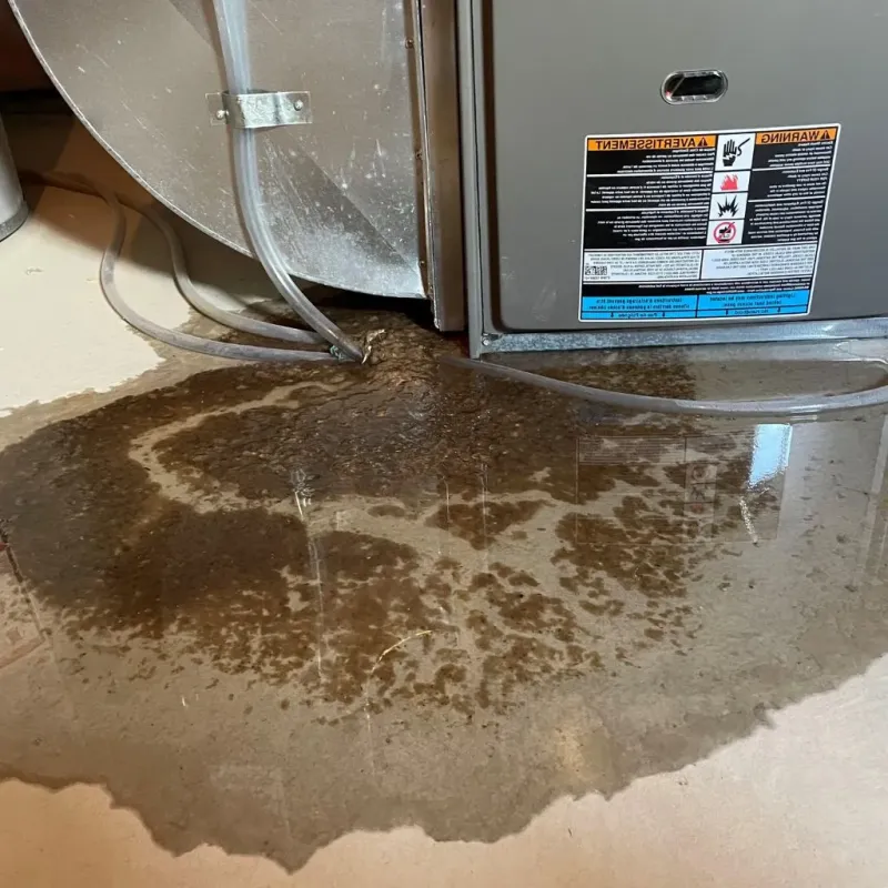 Pipe Burst and Leak Restoration in Sterling City, TX