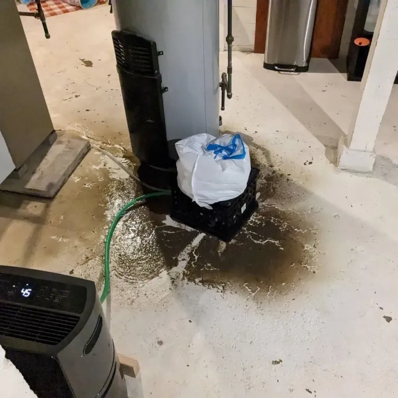Sewage Backup Cleanup Service in Sterling City, TX